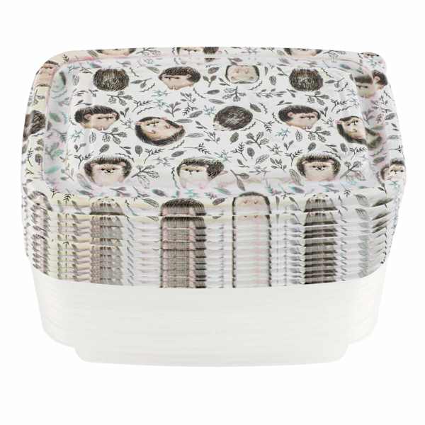 20PC HEDGEHOG RECTANGLE FOOD STORAGE SET