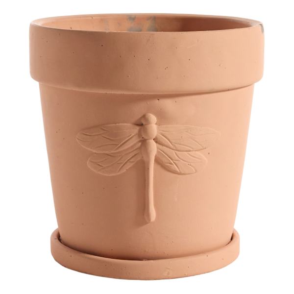 Honeybloom Indoor Terracotta Dragonfly Pot, Medium