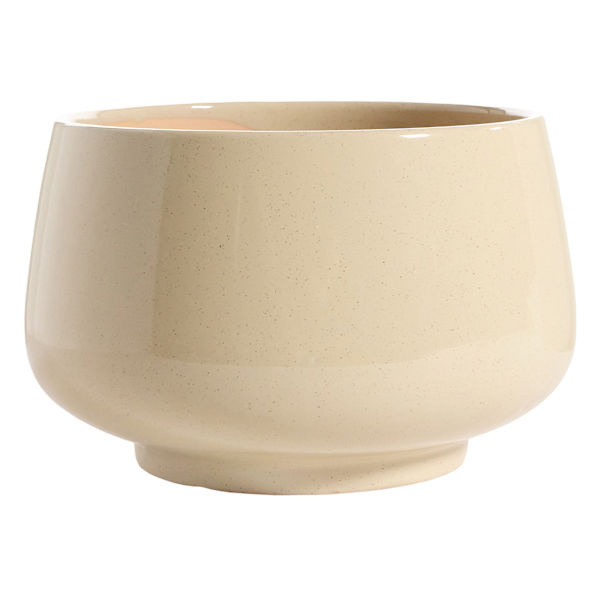 Honeybloom Indoor Ivy Beige Ceramic Planter, Large