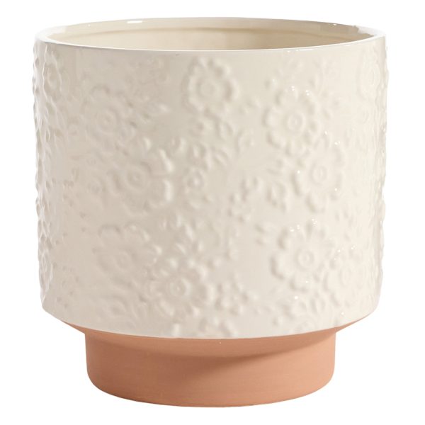 Honeybloom Indoor Cassia White Flower Planter, 7"