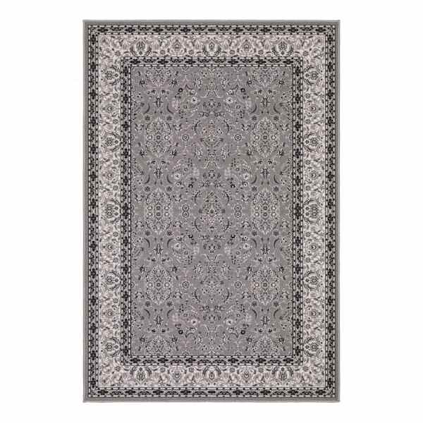 (D625) Grey Barnes Traditional Area Rug, 4x6