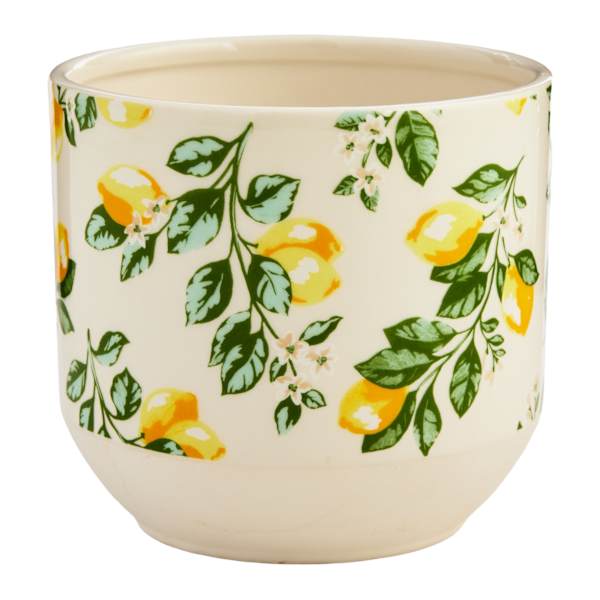 Providence Indoor Lemon Planter, 6"