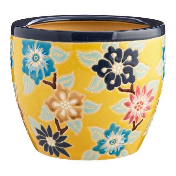 Indoor Amaryllis Planter, Medium