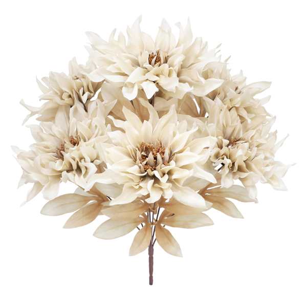 Dahlia Bush, 18"