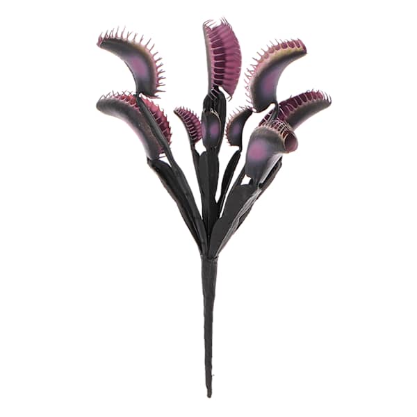 Grim Gardens Venus Fly Trap Stem, 11"