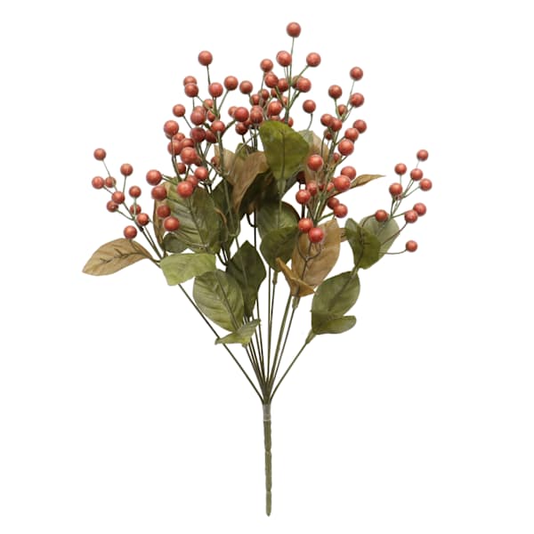 Combo Berry Bush X12