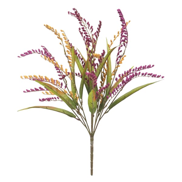 6-Head Panicle Bush