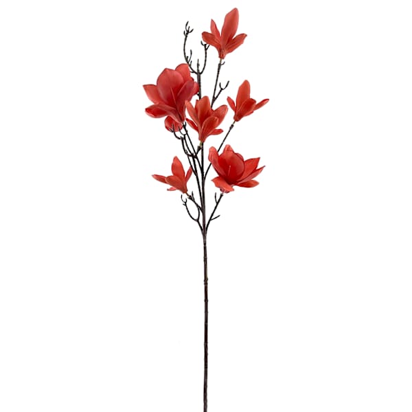 Red Magnolia Stem, 38"