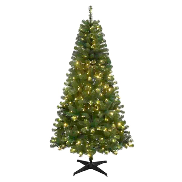 (A37) Pre-Lit Aurora Fir Christmas Tree, 6.5'