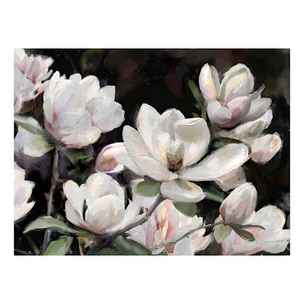 Black & White Floral Canvas Wall Art, 40x30