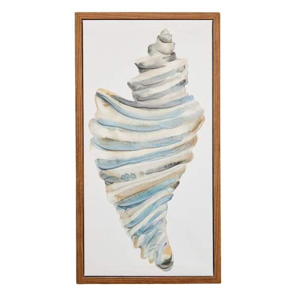 Honeybloom Framed Seashell Canvas Wall Art, 9x17