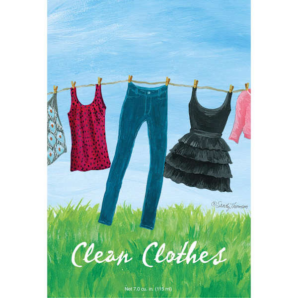 3-Pack Clean Clothes Scented Sachet