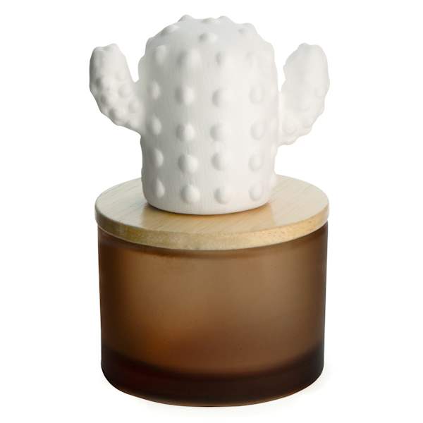 Cactus Porcelain Oil Diffuser