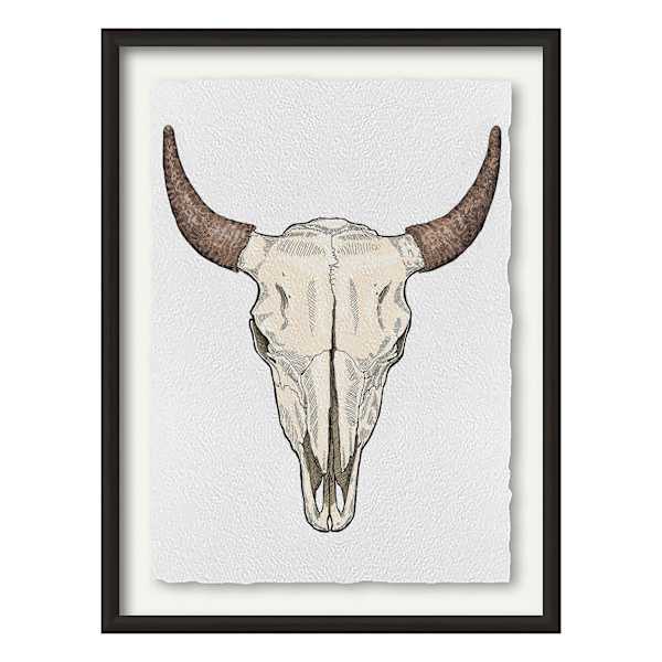 Glass Framed Skull Print Wall Art, 34x46