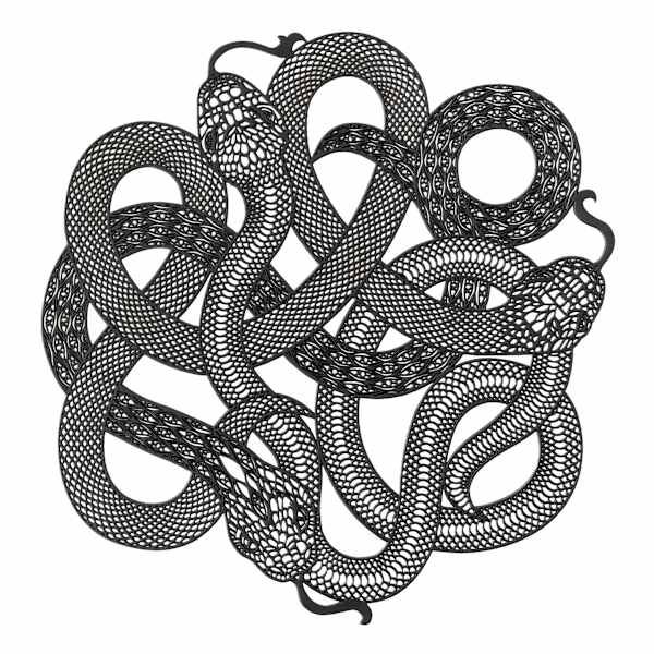 Spellbound Snake Vinyl Placemat