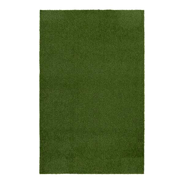 Artificial Turf, 6x9