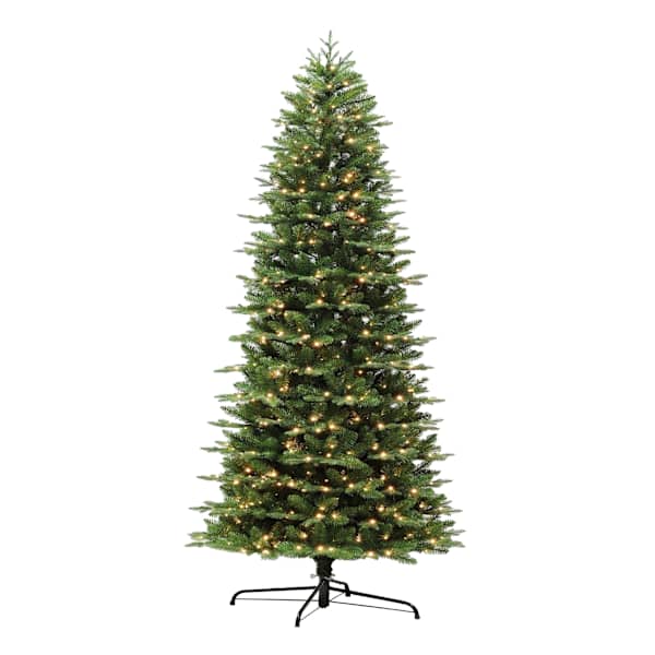 (C2) Pre-Lit Seattle Spruce Christmas Tree, 9'