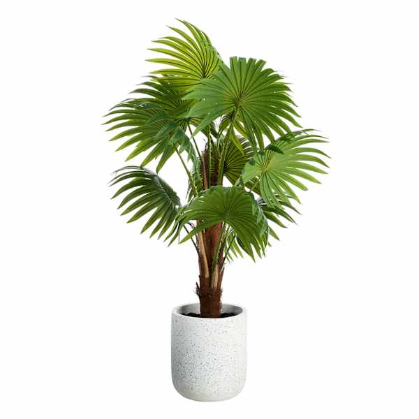 Palm Tree, 50"