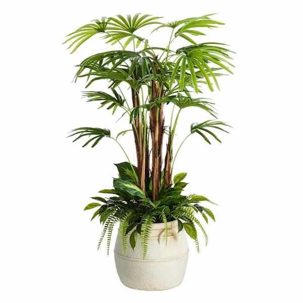 Coconut Tree in White Pot, 60"