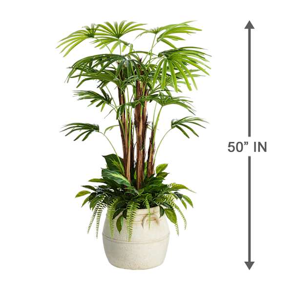 Coconut Tree in White Pot, 60"