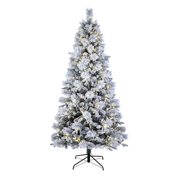 (B19) Pre-Lit Flocked Pine Christmas Tree, 7.5'