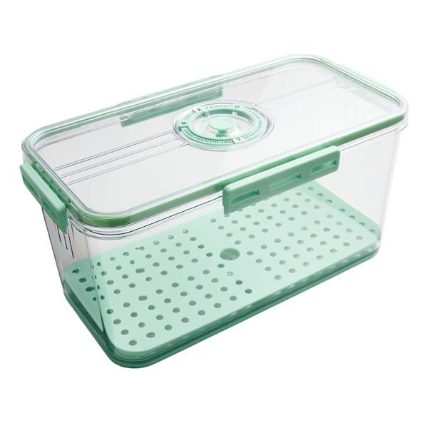 REAL SIMPLE Green Produce Fridge Storage with Date Marker Lid, 5.1l