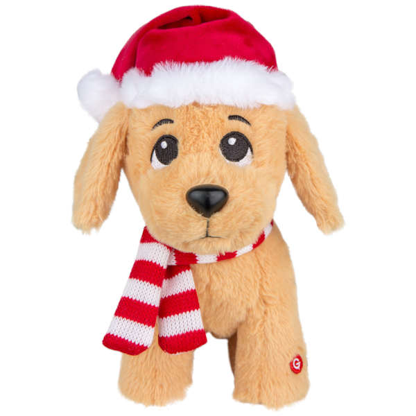 Begging Golden Retriever, 12.6"