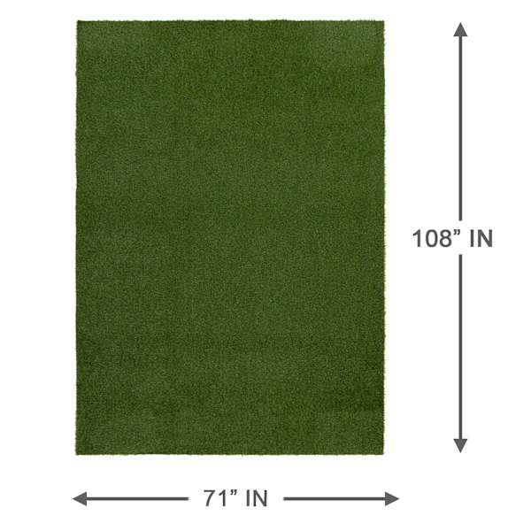 Artificial Turf, 6x9