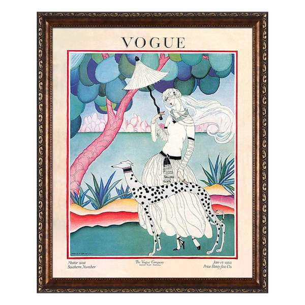 Glass Framed Vogue Dog Print Wall Art, 18x22