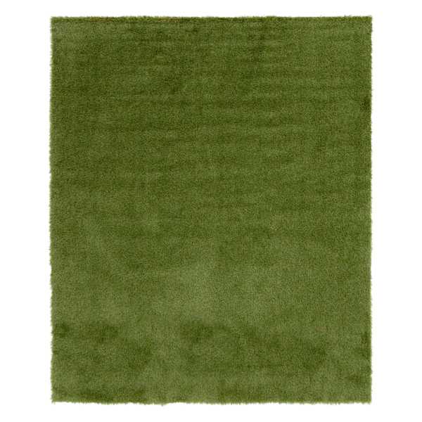 (E451) Artificial Turf, 8x10