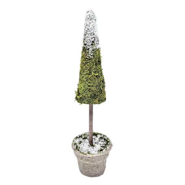 Homespun Natural Moss Tabletop Tree, 12"