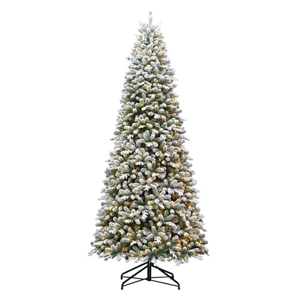(D4) Pre-Lit Flocked Alberta Spruce Tree, 12'