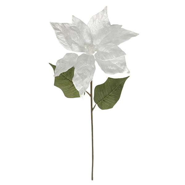 Snow White Poinsettia Stem, 22"