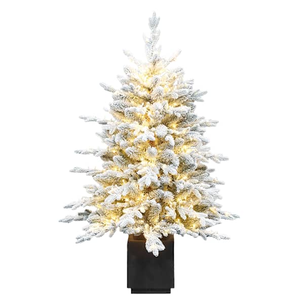 (A29) Pre-Lit Flocked Bradley Spruce Porch Christmas Tree, 4'