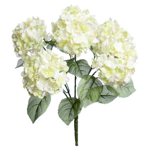 5-Head Green Hydrangea Bush, 18"