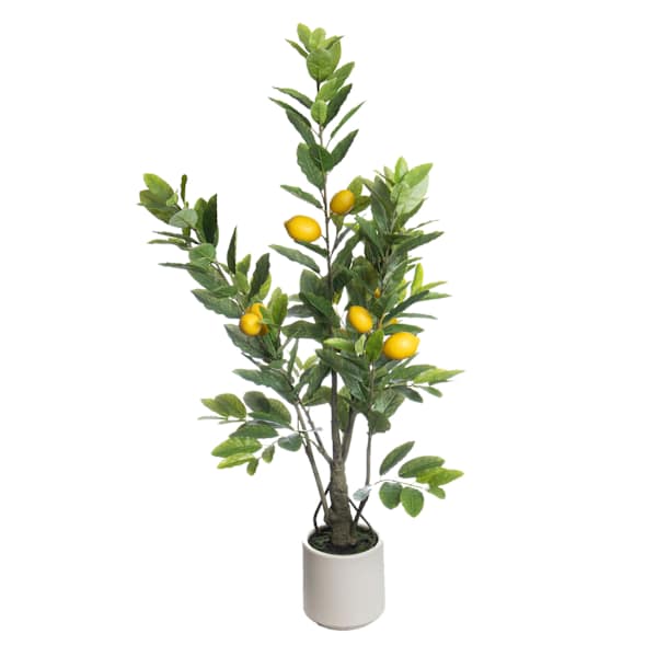 Lemon Tree Arrangement in Ceramic Pot, 48"