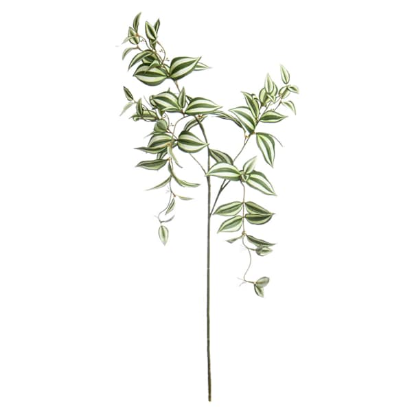 Hanging Wandering Jew Spray, 40"