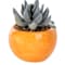 Orange swatch