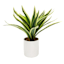 Grass Plant with White Planter, 9"