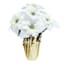 White Poinsettias in Gold Foil Pot, Large