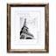 Gold Poster Wall Frame, 16x20