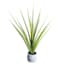 Aloe Plant with Cement Planter, 36"