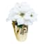 White Poinsettias in Gold Foil Pot, Small