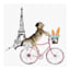 Eiffel Tower with French Cat On Bicycle Canvas Wall Art, 12"