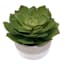 Succulent Lotus with White Ceramic Planter, 5"