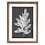 Honeybloom Glass Framed Black & White Fern Silhouette Wall Art, 12x16