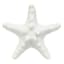 White Starfish