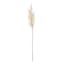 White Pampas Grass Stem, 32"