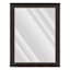 Janet Black & Brown Rectangle Wall Mirror, 37x47
