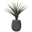 Aloe Vera with Textured Black Planter, 41"